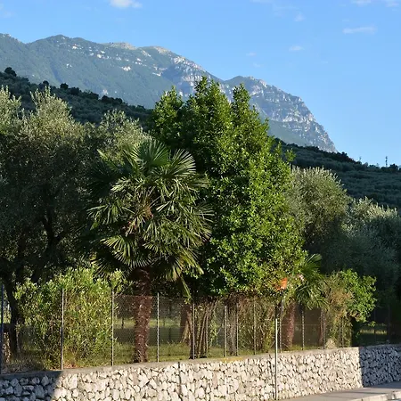 Primavera Apartmentsuites Aparthotel 3*